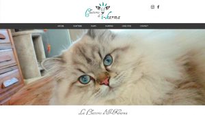 Chatterie d'I-Karma - maquette graphique site internet - Elisabeth MORIN graphiste La Rochelle