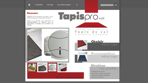 Tapispro - site internet - Elisabeth MORIN graphiste webmaster La Rochelle