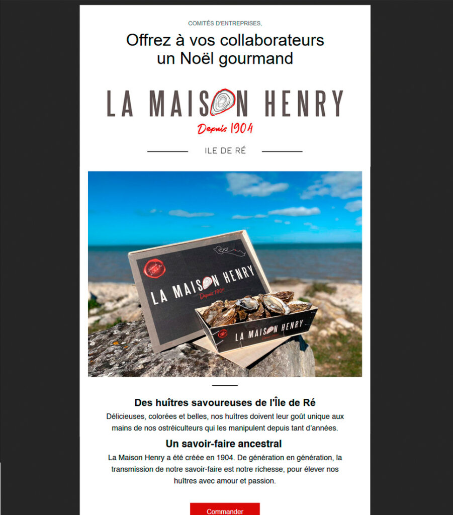 Newsletter La Maison Henry - Intégration sur Wix - Elisabeth MORIN graphiste webmaster La Rochelle